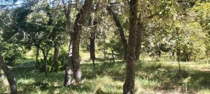 Cabaña en La montaña