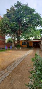 Hostel Küyen Mapu
