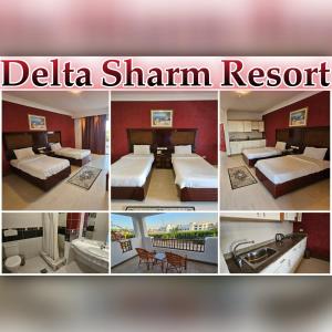 استديو بالمرحله الجديده بدلتا شرم ريزورت