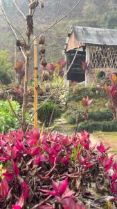 Mantra Mountain Organic Homestay