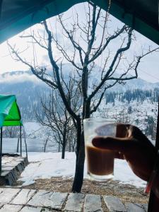 Paradise Camping Apple Orchard