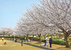 京都 大阪アクセス良好の和モダン民泊 静かで快適な宿泊施設です 京阪本線楠葉駅から徒歩圏内 急行特急停車駅で京都へ約30分 大阪へ約40分とアクセス良好です