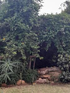 African Bushveld 129A 2 Bedroom Unit