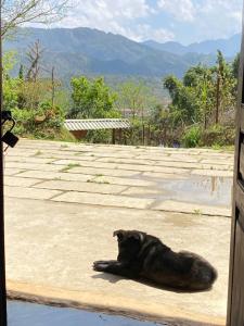 Ta Phin Homestay