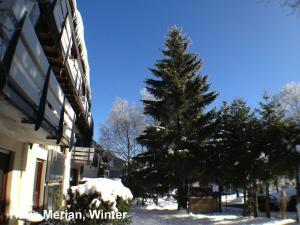 Pretty Apartment near Ski Area in Winterberg Germany