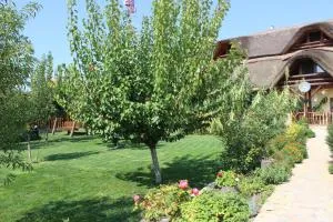 Pensiunea Heracleea - 6 Martie