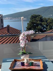 Baosici Sea you Soon