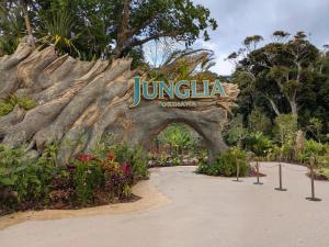 Palm Tree, 美ら海水族館 ジャングリア 古宇利島至近, やんばるの森のプライベートヴィラ