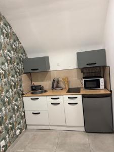 Studio rénové centre-ville - Tram et Parking gratuit