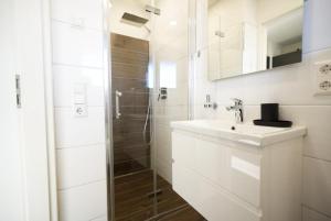 ApartWehr Business & Ferien Apartment Braun