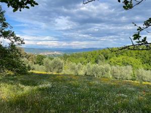 Merula Antica Dimora Agricola