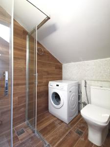 Athenean Rooftop Nest