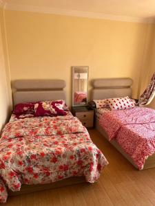 Modern3BR, Prime New Cairo Garden View Near Airport