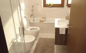 Casa Lôze Dolomiti near Auronzo di Cadore