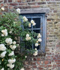 La Madeleine de Proust chambre Léonie