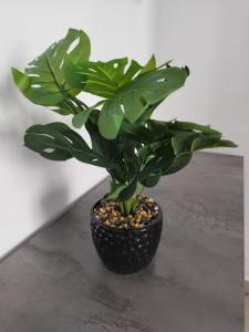 Casa Fossata intero alloggio moderno a Torino