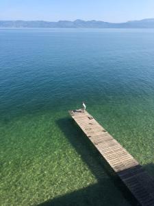Le Ponton du Léman - Appart accès privé au lac