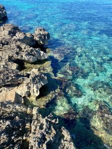 CasAmare
