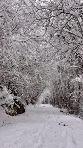 Apartaran 407 con terraza