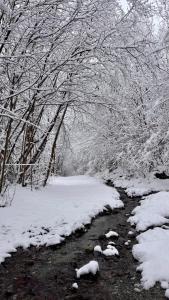 Apartaran 407 con terraza