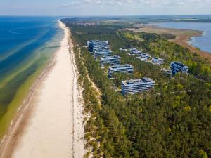 Shellter Apartament Sosnowy