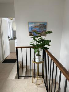 Villa Leo Beach Apartment