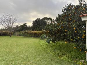 Moledo Sea Garden
