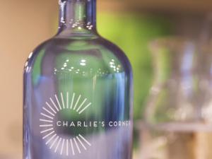 ibis Zürich Messe Airport