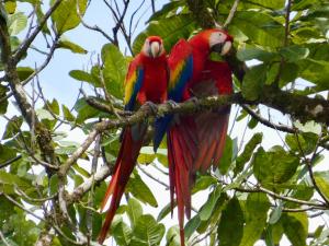 Sabalo Lodge Tours and Cabins