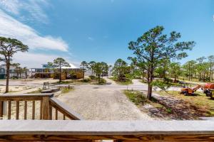 Bright duplex with two full kitchens large decks and private washer dryers