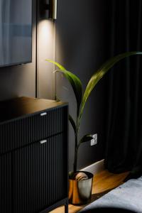 Apartamenty ARTE Wikana Residence 11B faktura VAT