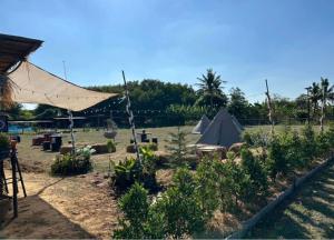 ทุ่งนากางเต้นท์ Countryside