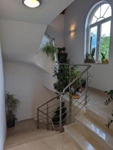 Vesna studio apartment