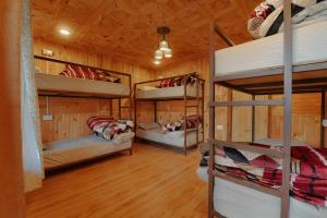 Aroha Nest