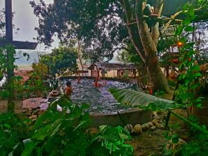 Pemsees Tree Town - Eco Treehouse Hostel