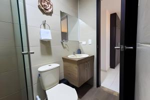 amplio y lujoso apartasuite en el centro