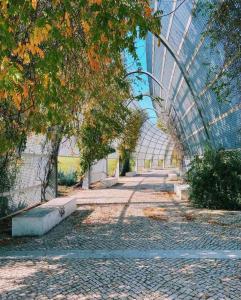 Low Cost University Privado