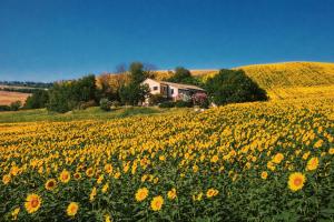 Casale Milleluci - Country House