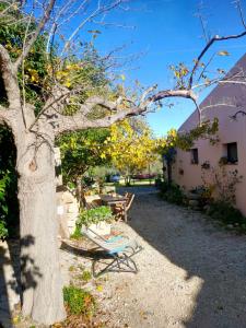 Agriturismo Terra Di Pace