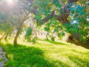 Agriturismo Terra Di Pace