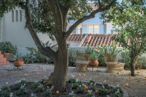 Casa Boodes Parking Pool Garden