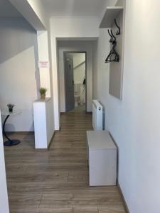 Wonderful Apartments & Rooms