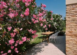 Casale Milleluci - Country House