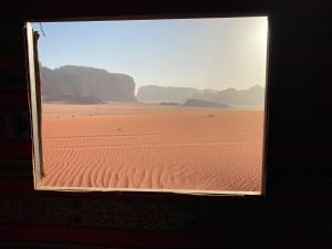 Wadi Rum Infinity Star Camp