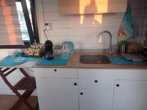 Houseboat BluSeaDream Dolphin 2