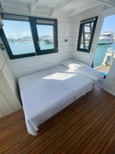 Houseboat BluSeaDream Dolphin 2