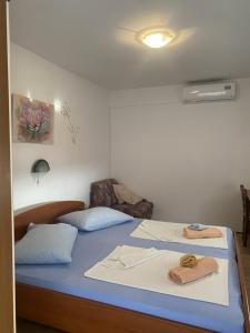 Apartment Ankica with Sea View and Terrace