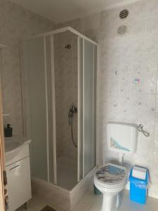 Apartment Ankica with Sea View and Terrace