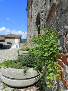 La Terrazza sul Castello di Torniella