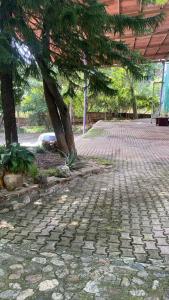 Hacienda Cordova